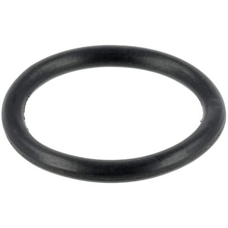 Öldichtung 18,75x2,62mm - 215390180