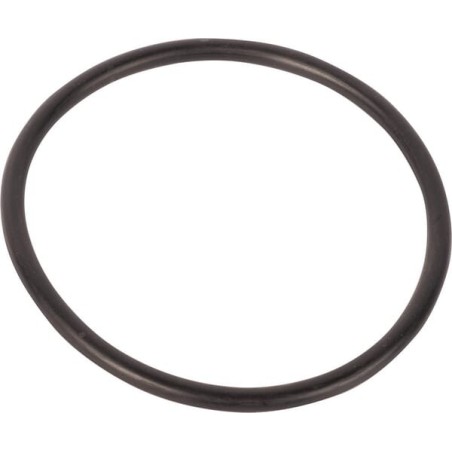 O-Ring - 215301450