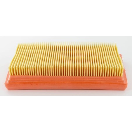Air filter Lombardini - 2175172