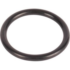 21559276010 SAME, OEM Lager 
