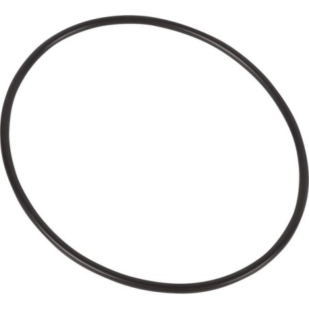 O-Ring - 215325050