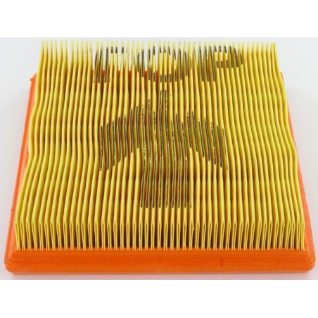 Air filter Lombardini - 2175134