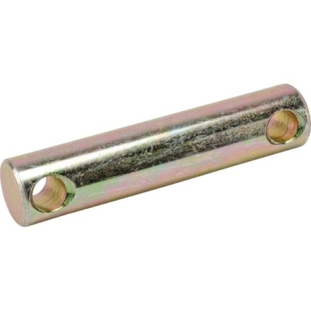 Link End Holder Pin - 21669065210
