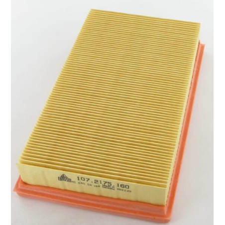 Air filter Lombardini - 2175164