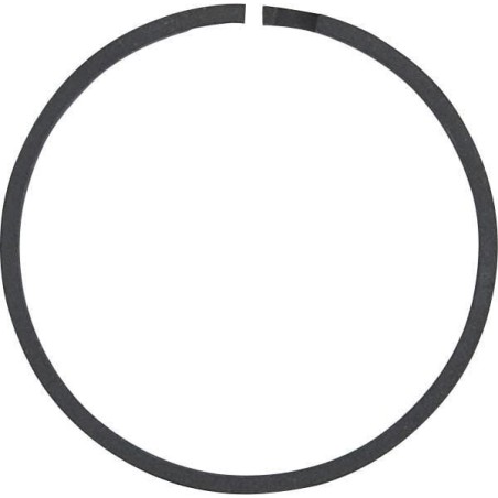 Segment - 230416