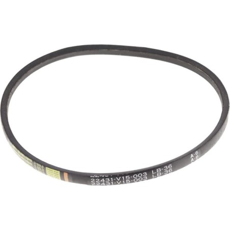 Pas klinowy Lb-36 - 22431V15003