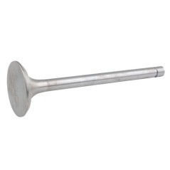 Intake valve - 2401007014B4N