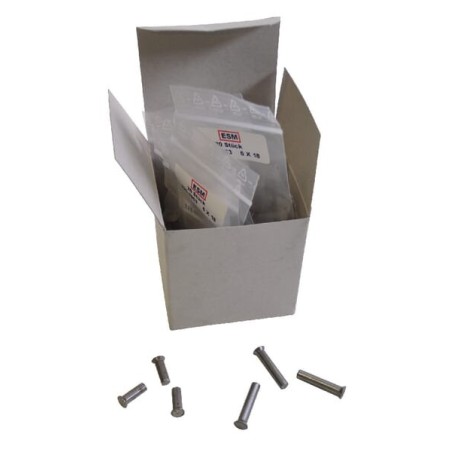 Rivet Set ESM - 2402620