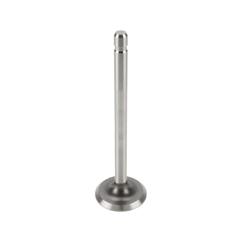 Exhaust valve - 237672S