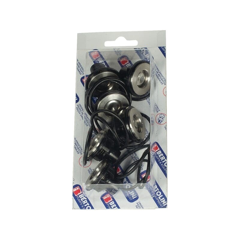 Ventilsatz Bertolini - 239829973 Ventilsatz Bertolini - 239829973