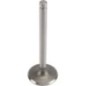 Valve Intake std - 2401701S