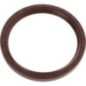 Gasket - 215290210N Gasket - 215290210N