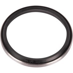 215190800N Raico, Seals 