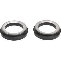 Dichtung - 215291190