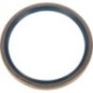 Ring - 215290230N Ring - 215290230N