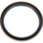 Ring - 215290230N Ring - 215290230N