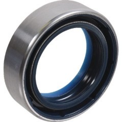 Dichtung - 215291120