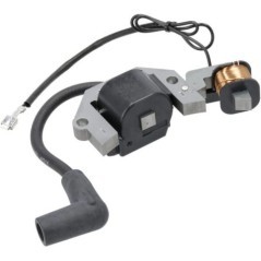 Ignition coil assembly - 211712268