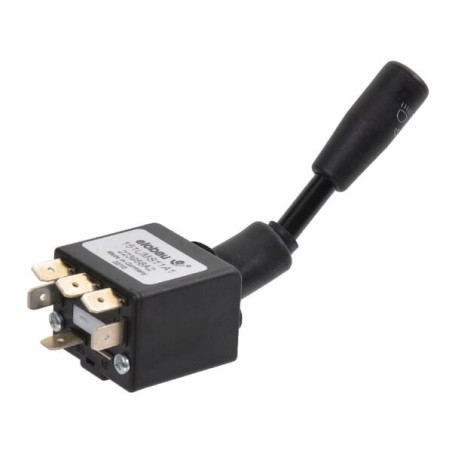 Combination switch lights and flasher - 223958A2