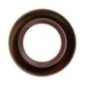 Seal ring SDF - 2237010 Seal ring SDF - 2237010