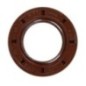 Seal ring SDF - 2237010 Seal ring SDF - 2237010