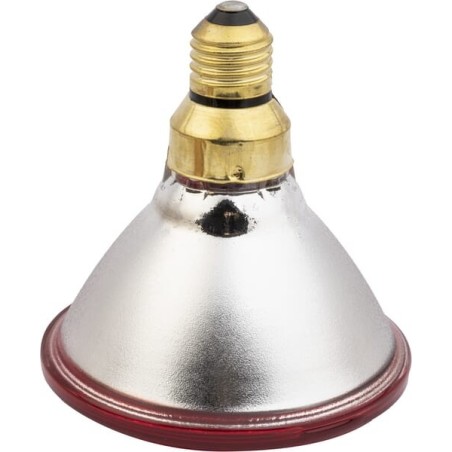 Econ, infrared lamp 100W red - 22246KER