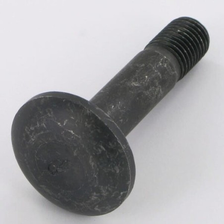 Śruba okrągła płaska M16x75-10.9 - 22044908