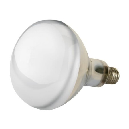 Infrared lamp 250W transparent - 22252KER