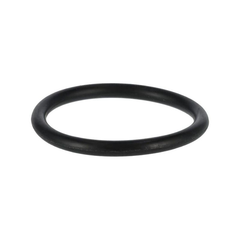 O-Ring P32 - 24311000320