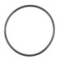 O-Ring - 24321000750YAN O-Ring - 24321000750YAN