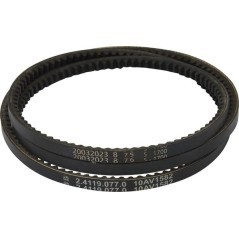 Belt - 241190770