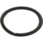 Main bearing ring - 2415608N Main bearing ring - 2415608N