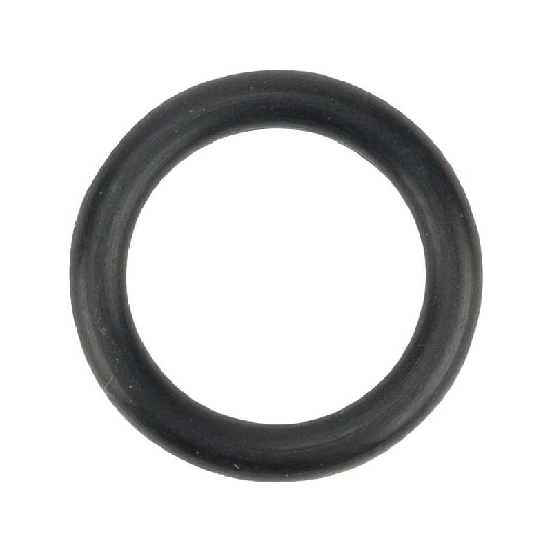 O-Ring 1a p12 - 24311000120