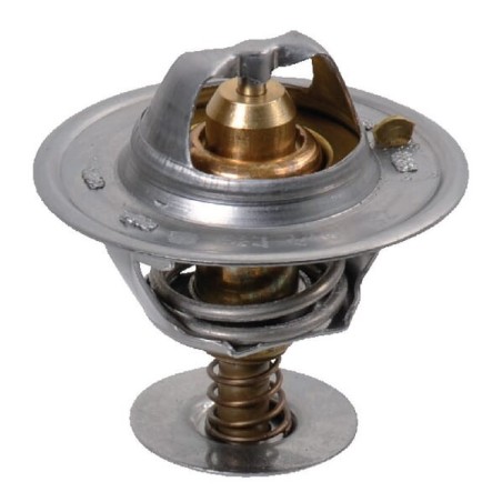 Thermostat Perkins - 2485613