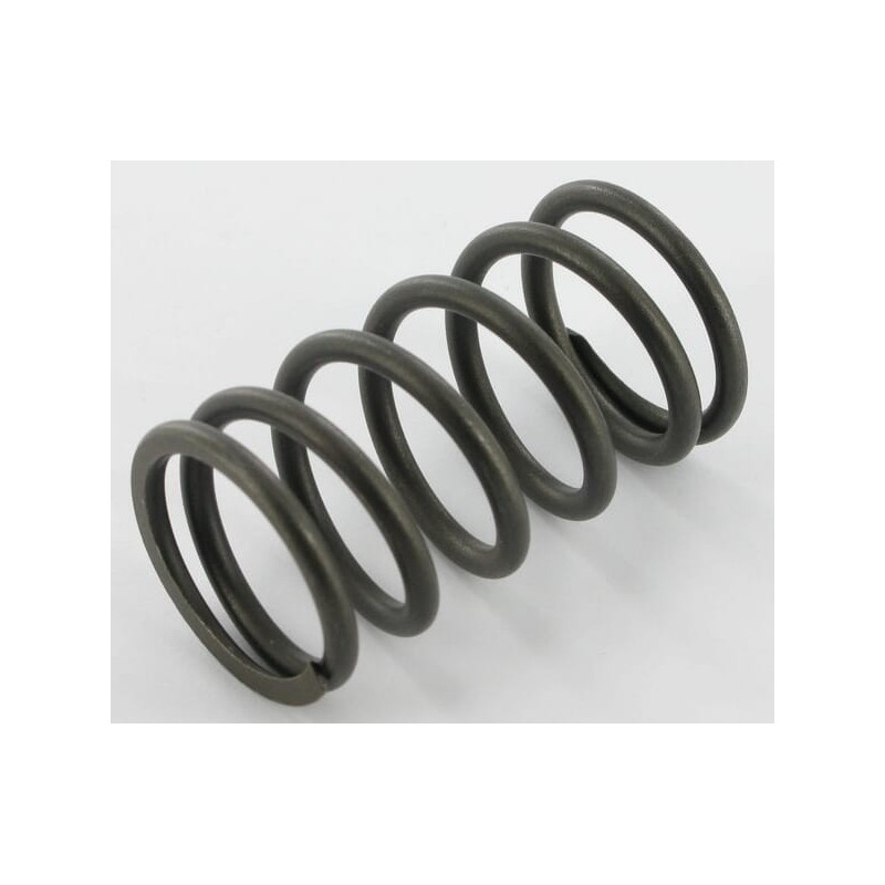 Valve spring - 2508901S Valve spring - 2508901S