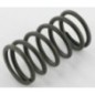 Valve spring - 2508901S Valve spring - 2508901S