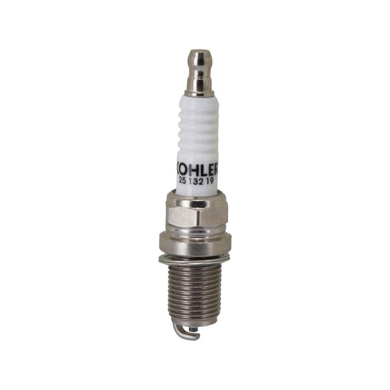 Spark plug - 2513219S Spark plug - 2513219S