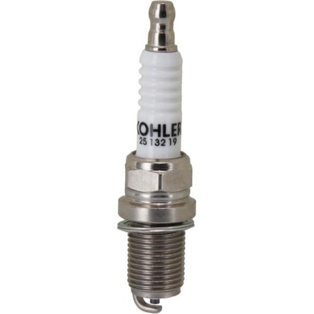 Spark plug - 2513219S