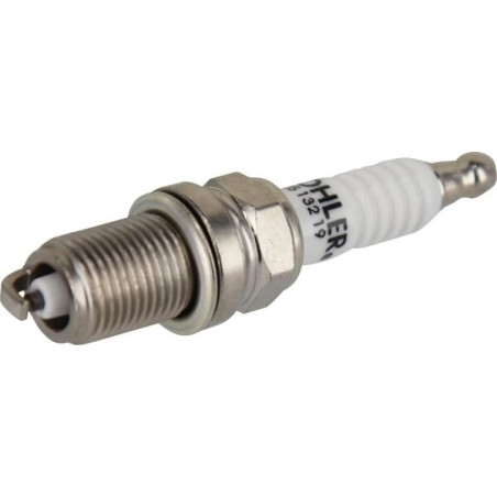 Spark plug - 2513219S
