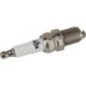 Spark plug - 2513219S Spark plug - 2513219S