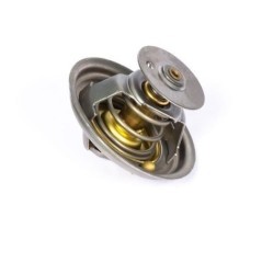 2485C036 Perkins, Thermostats 