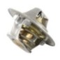 Thermostat Perkins - 2485666 Thermostat Perkins - 2485666