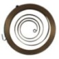 Starterfeder - 2600284 Starterfeder - 2600284