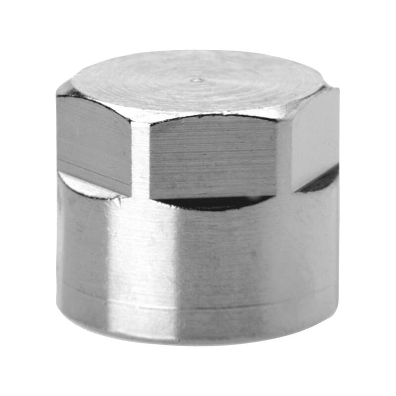 Plug female BSP - 261318