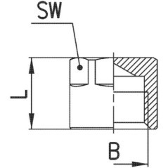 Plug female BSP - 261318