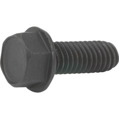 25X6 Murray, Screws and nuts 