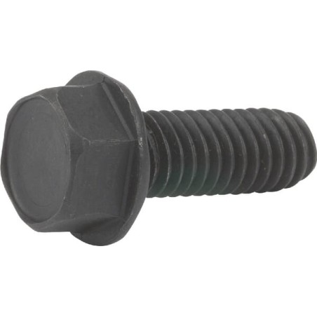Bolt - 25X6