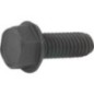Bolt - 25X6