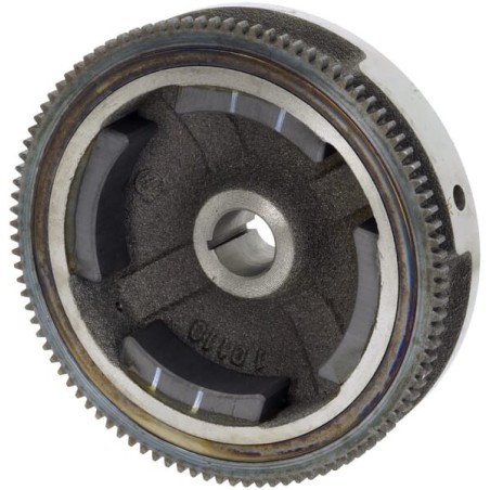 Flywheel complete - 2700202470001