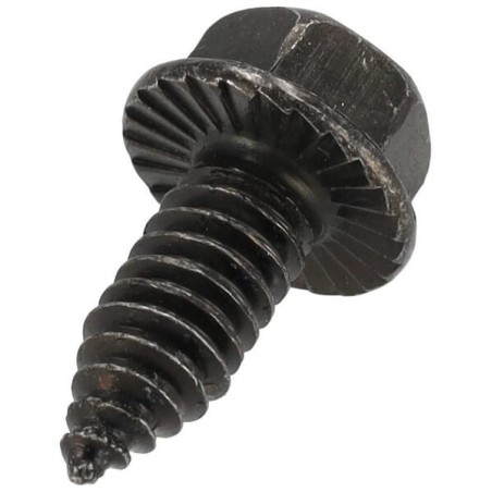 Screw.25-20 s-t - 26X263MA